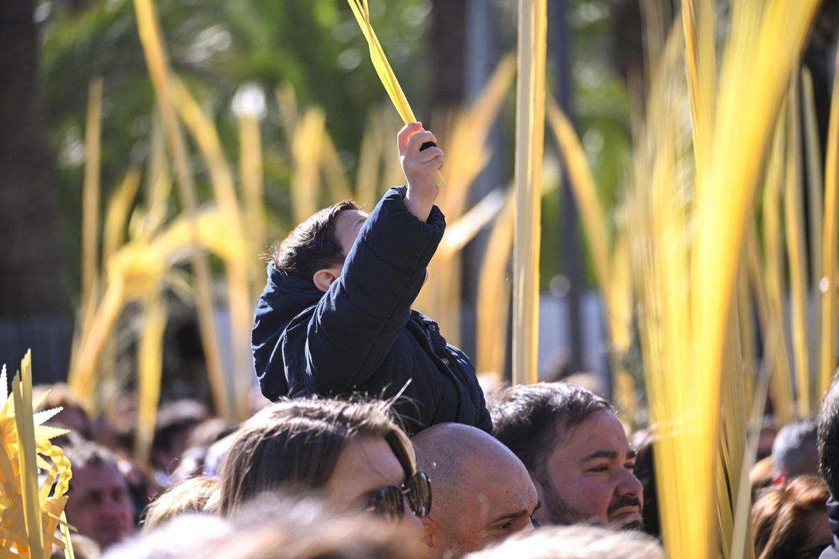 Las mejores imágenes del Domingo de Ramos en Elche