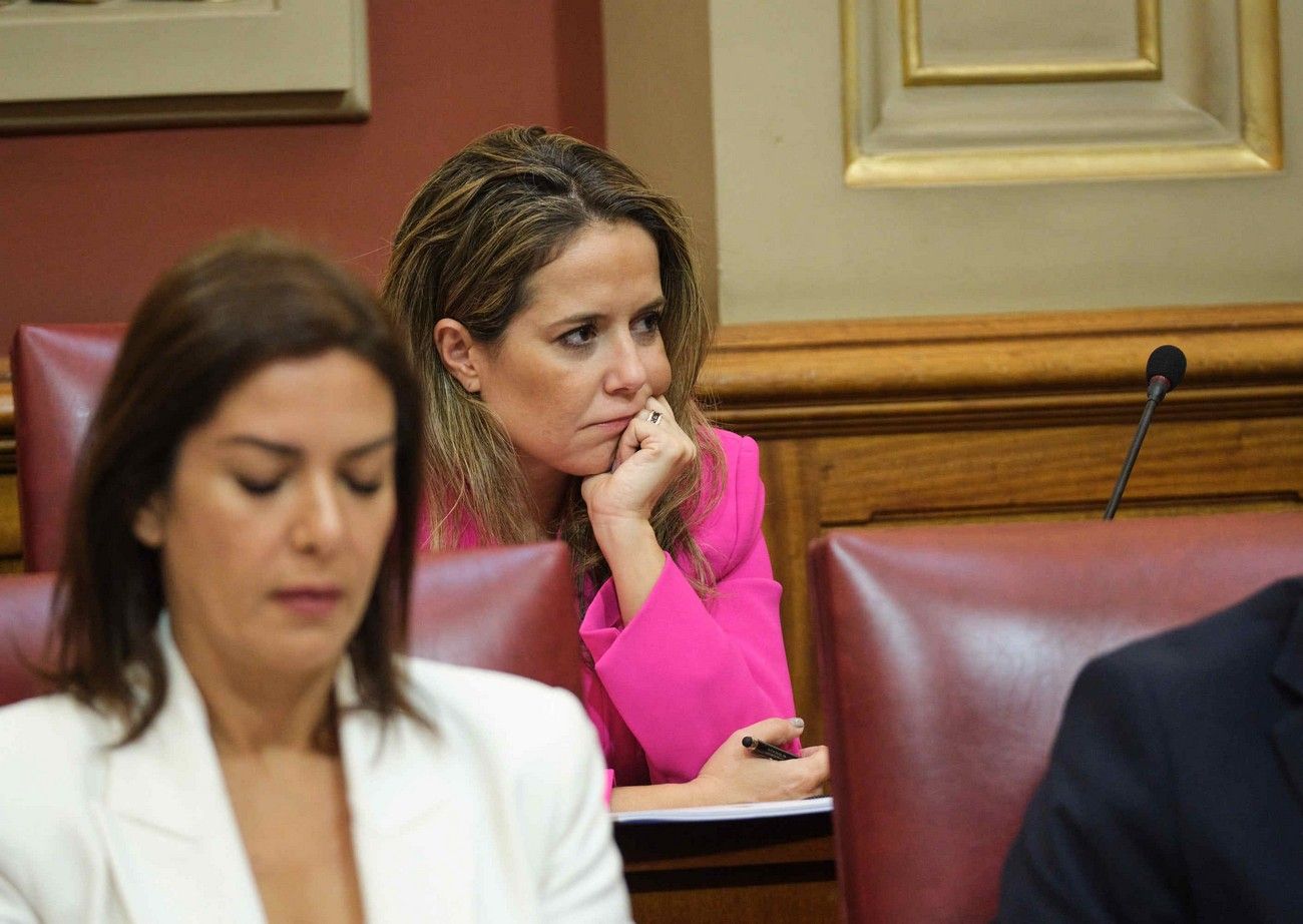 Pleno del Ayuntamiento de Santa Cruz de Tenerife (26 de enero de 2024)