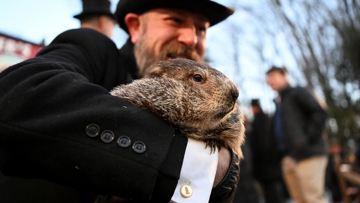 La marmota Phil, en Punxsutawney.