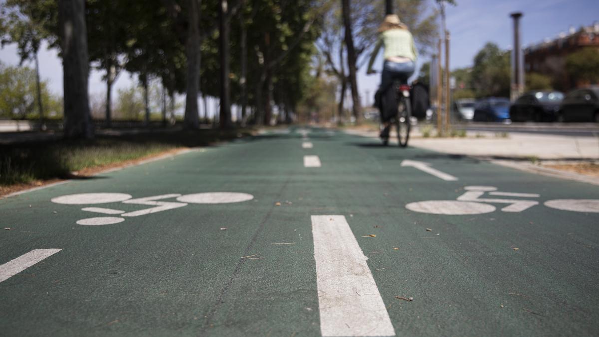 Imagen de recurso de un carril bici, localizado en la avenida de Torneo.