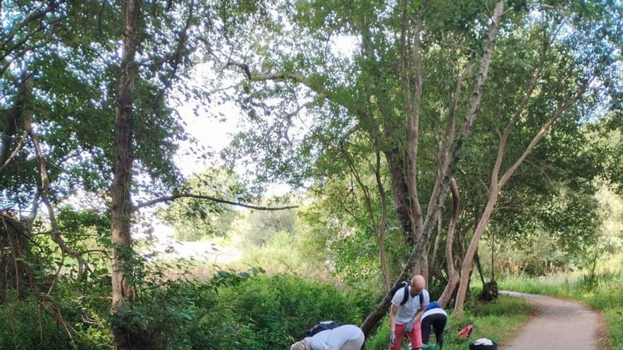 Retiran 200 kilos de especies invasoras en el río Pintillón