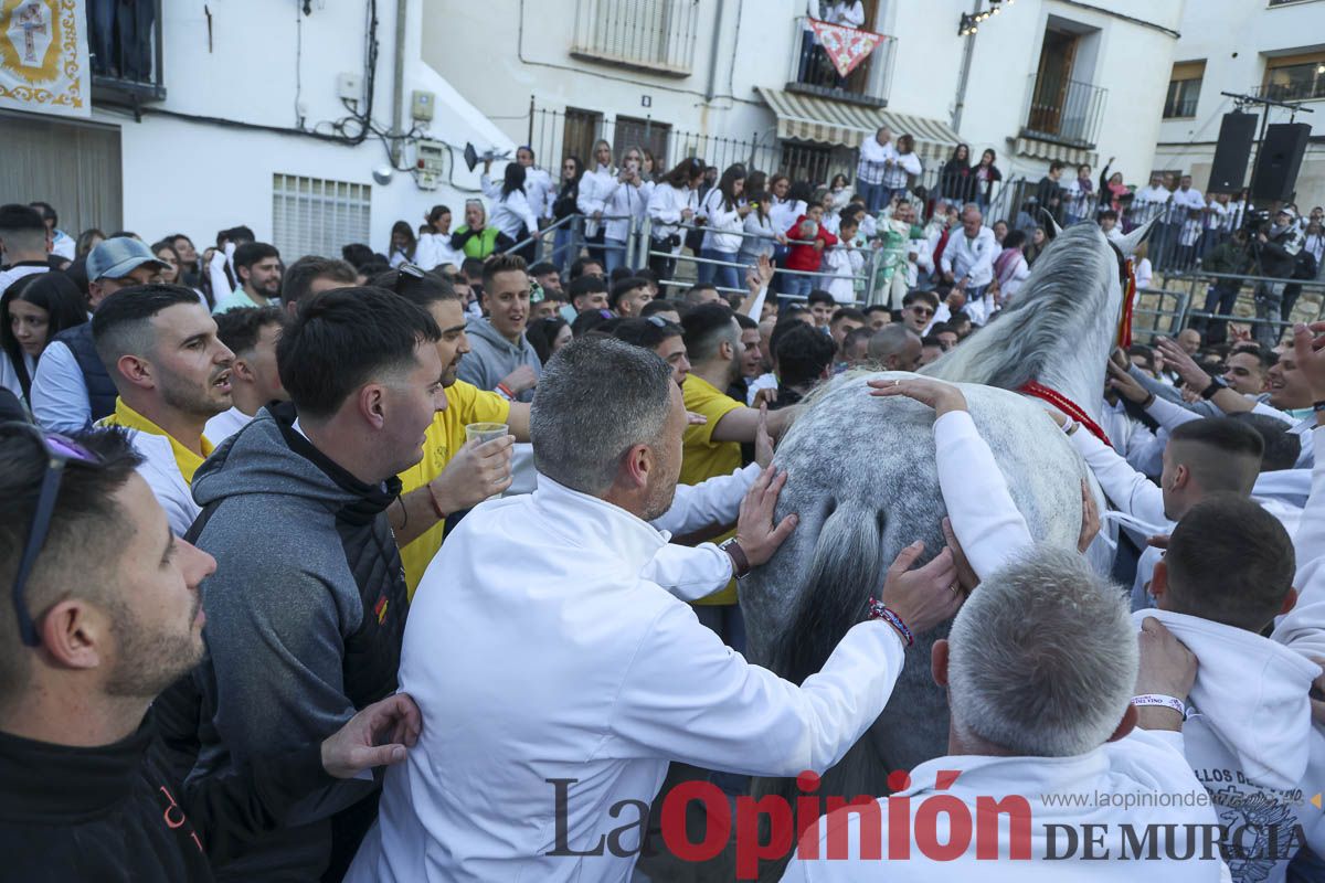 Entrega de premios del concurso de 'Caballo a pelo' en Caravaca