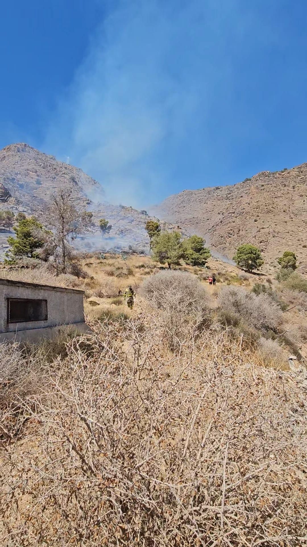 Controlado el incendio forestal que afectaba a la Sierra de Orihuela en La Aparecida