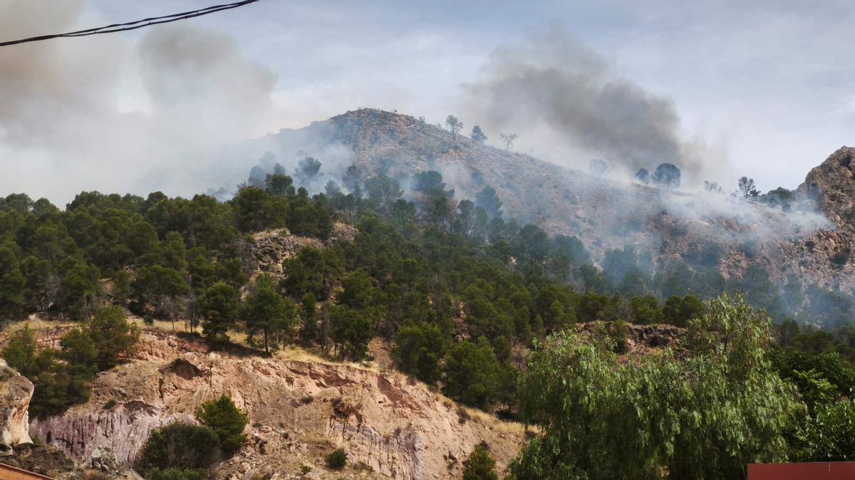 Las imágenes del grave incendio forestal en Los Garres (Murcia)