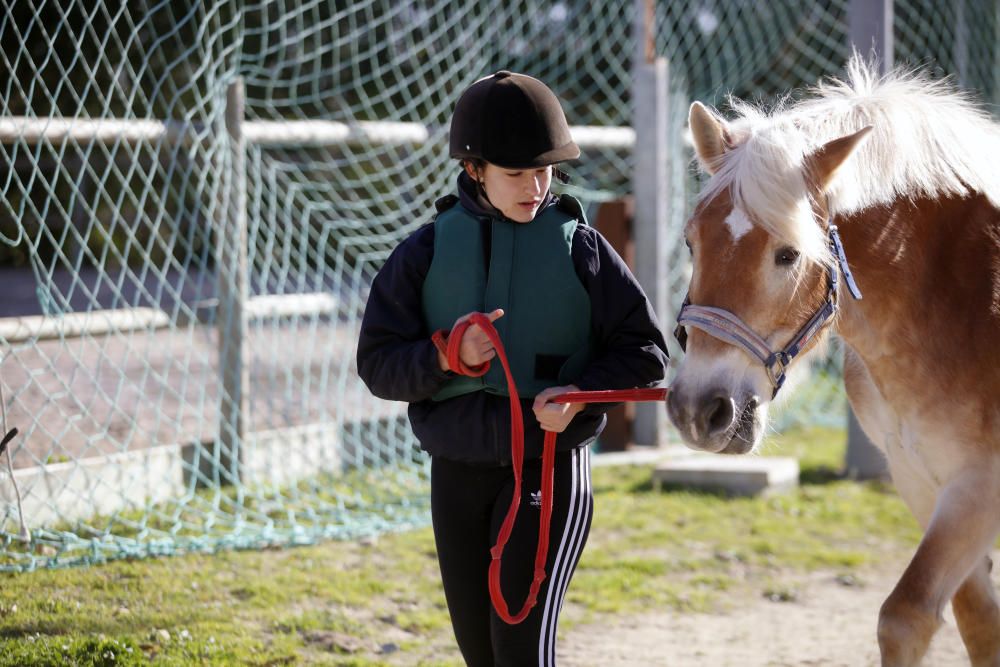 Großeltern und Enkel auf dem Pferd