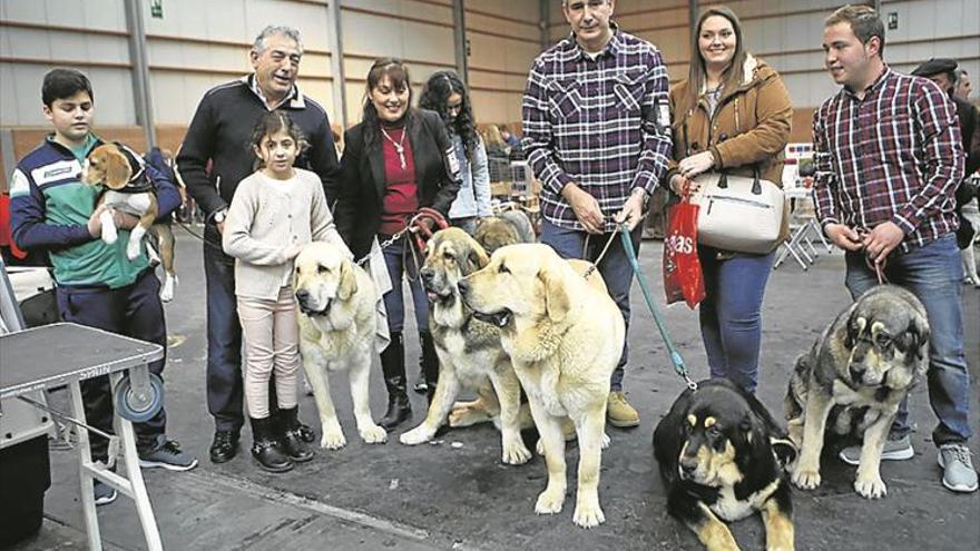 Ser el más ágil tiene premio