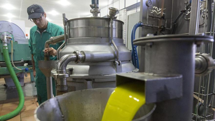 La subida del precio del aceite espolea la producción para autoconsumo en Extremadura