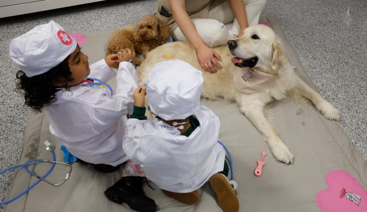 Los perros, 'doctores' de cuatro patas que cambian la rutina hospitalaria de los niños.