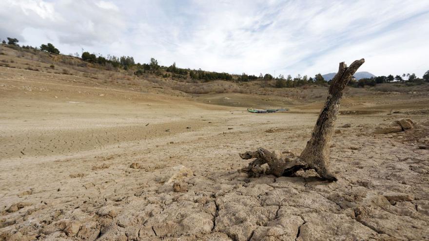 Crean una mesa en defensa de la agricultura de la Axarquía ante la sequía