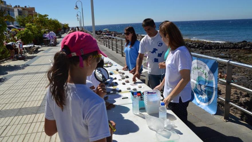 Un momento de las actividades del Día de los Océanos en Agüimes.