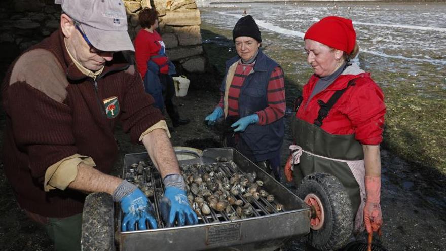 Mariscadoras de Redondela durante una jornada de trabajo en la zona de A Portela.