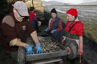 Las mariscadoras de la ría de Vigo dicen basta: "No miramos la luz"