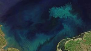 Para rastrear los cambios en el color del océano, los científicos analizaron las mediciones del color del océano tomadas por el espectrorradiómetro de imágenes de resolución moderada (MODIS) a bordo del satélite Aqua, que ha estado monitoreando el color del océano durante 21 años. Crédito: NASA y Joshua Stevens, utilizando datos Landsat del U.S. Geological Survey y datos MODIS de LANCE/EOSDIS Rapid Response.