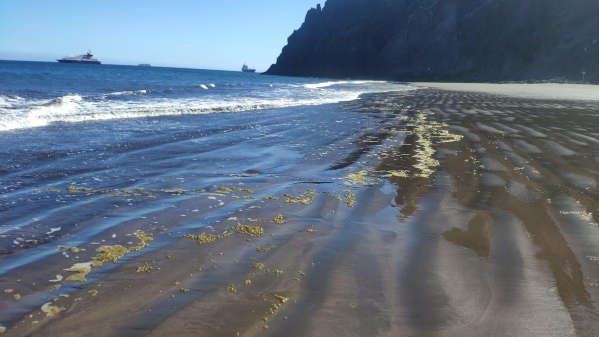 Las manchas aparecidas en la playa de Las Gaviotas.