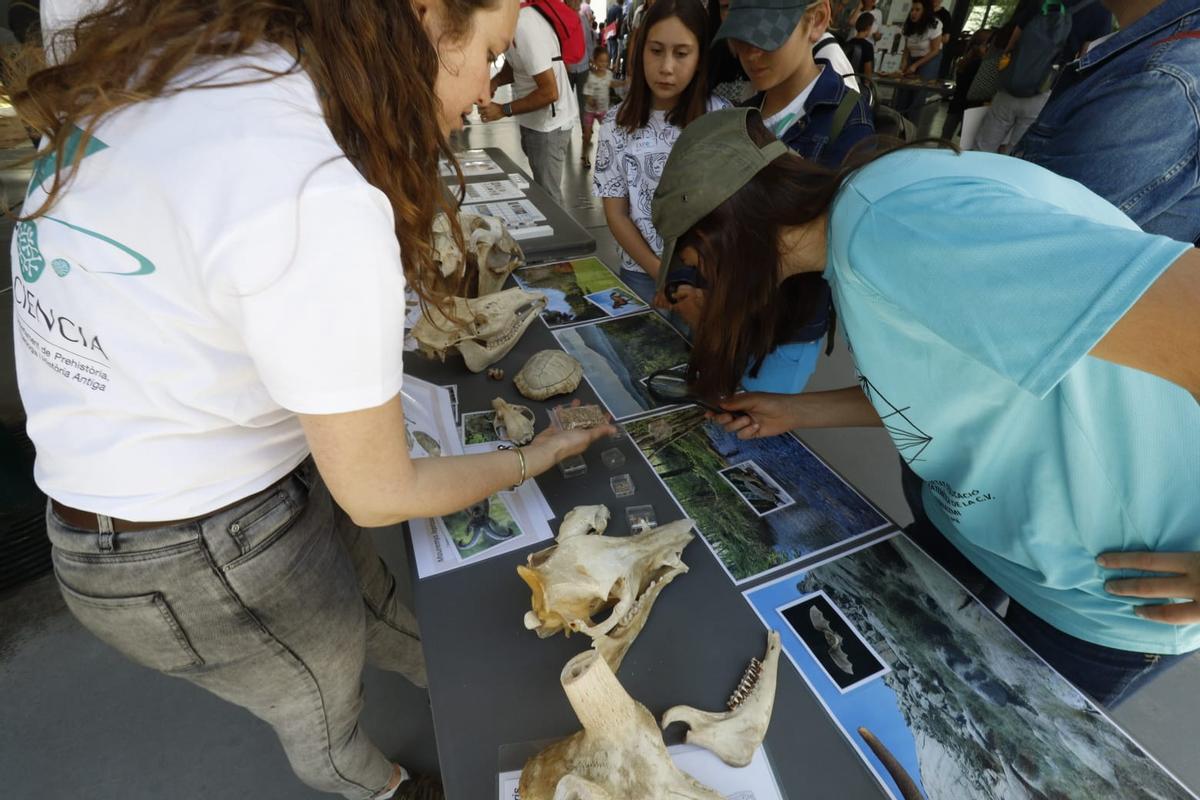 Miles de jóvenes se acercan a la ciencia en la Expociencia en el Parc Científic de la UV