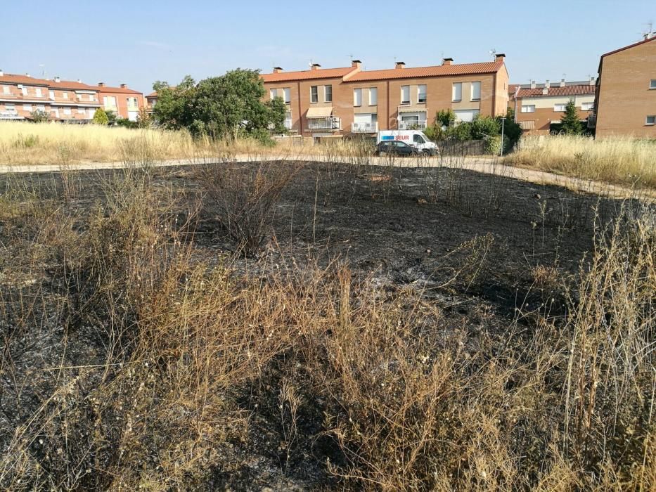 El desolador paisatge després del foc