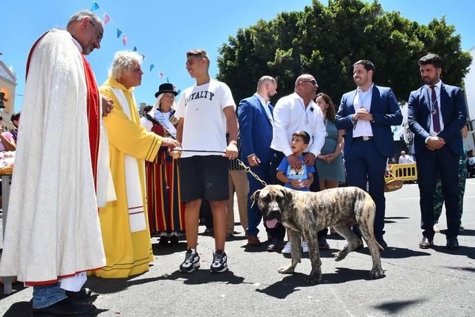 05/08/2019 LOMO MAGULLO. TELDE. Procesión de la Virgen de Las Nieves y pase de mascotas al finalizar el acto.   Fotógrafa: YAIZA SOCORRO.  | 05/08/2019 | Fotógrafo: Yaiza Socorro