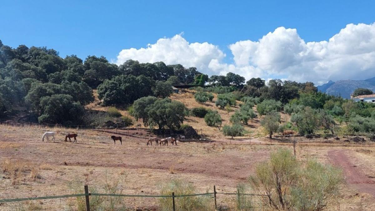 Una vista de La Donaira. | L.O.