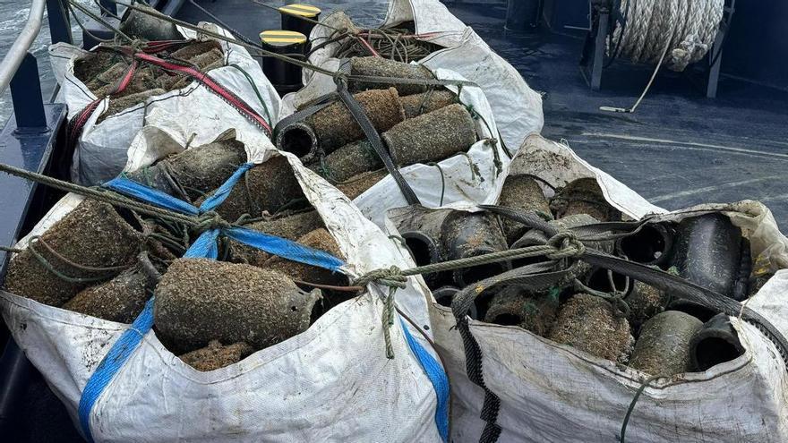 Incautados en A Guarda 75 kilos de pulpo y 430 cacharros ilegales con la veda ya iniciada