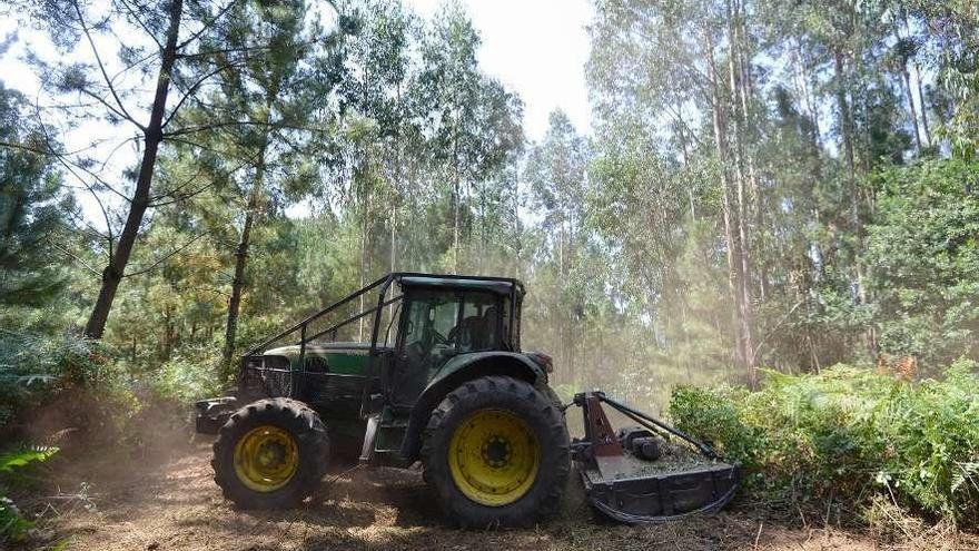 Un hombre desbroza un monte con un tractor.