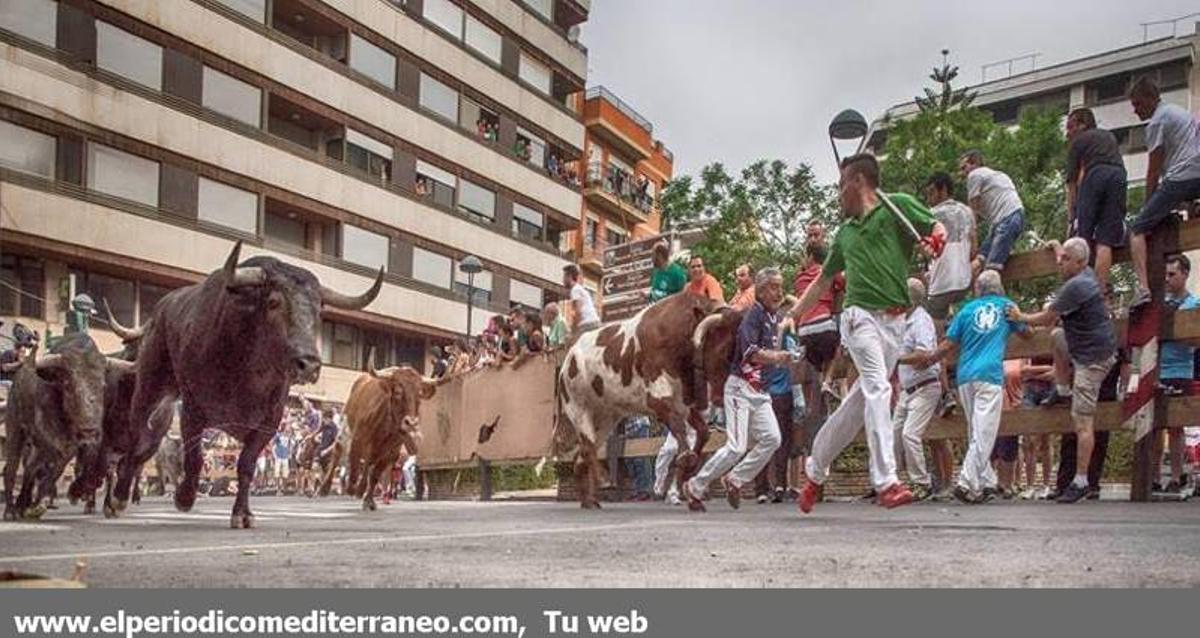 GALERÍA DE FOTOS -- Encierro de vértigo en la Vall d’Uixó GALERÍA DE FOTOS -- Encierro de vértigo en la Vall d’Uixó