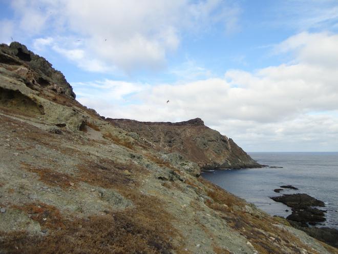 Islas Salvajes, Portugal