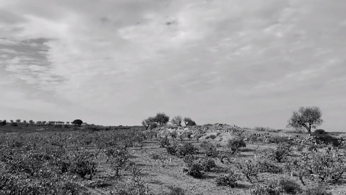 Agricultura para asegurar un futuro de calidad