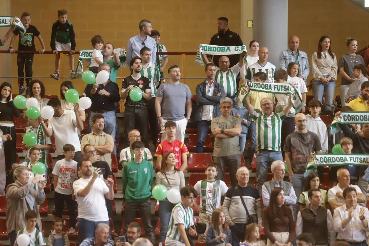 El Córdoba Futsal - Noia Portus Apóstoli, en imágenes