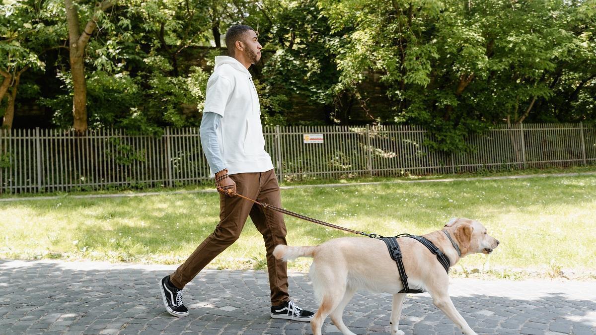 Un hombre pasea con su perro.