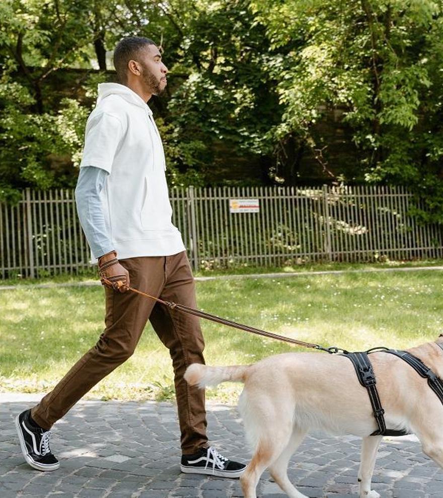 Esto es lo que tu perro sabe al oler la orina de otros durante el paseo