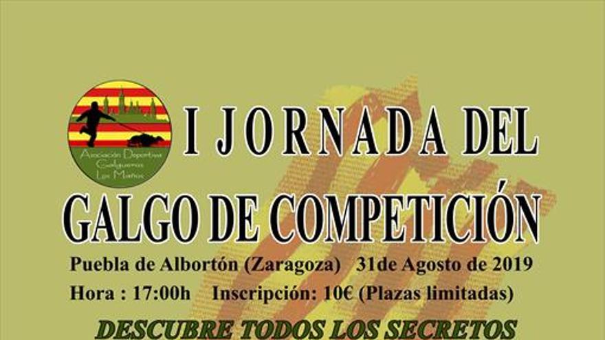 La localidad acogerá la I Jornada del Galgo de Competición