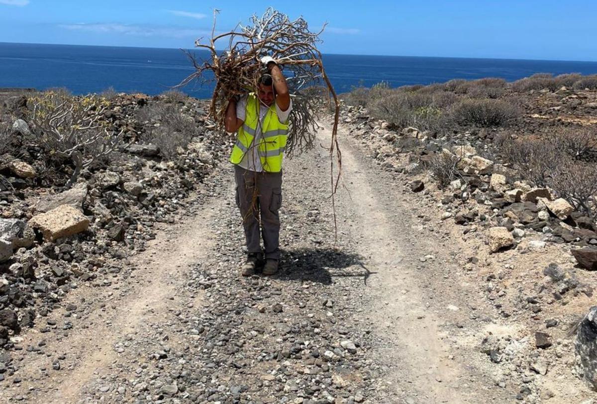 Acciones de recuperación de la flora del lugar. | | E.D.