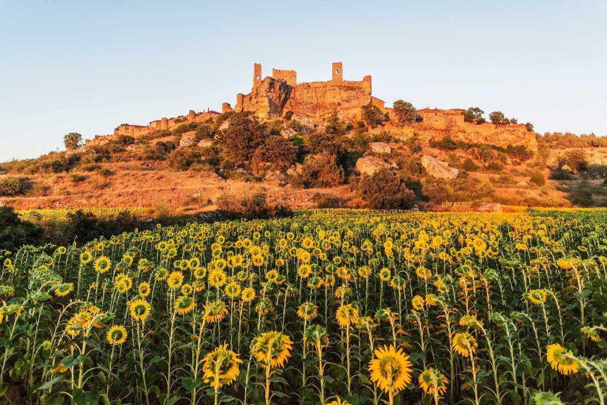 Campos de Castilla, de Antonio Machado: Soria