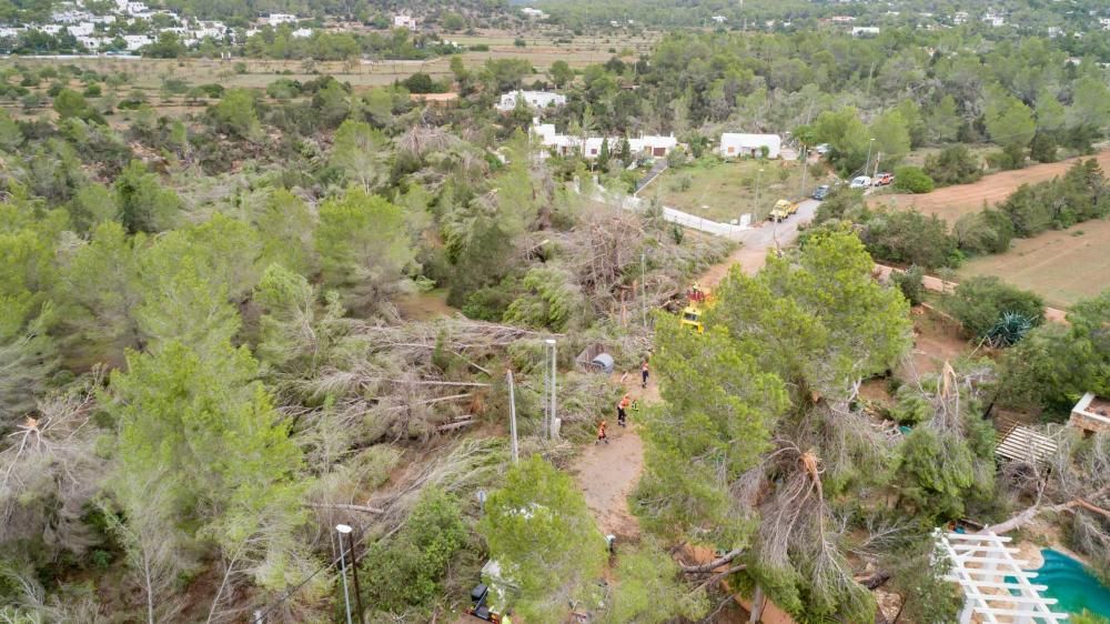 La palabra que más empleaban vecinos y curiosos para describir el paisaje era «guerra»