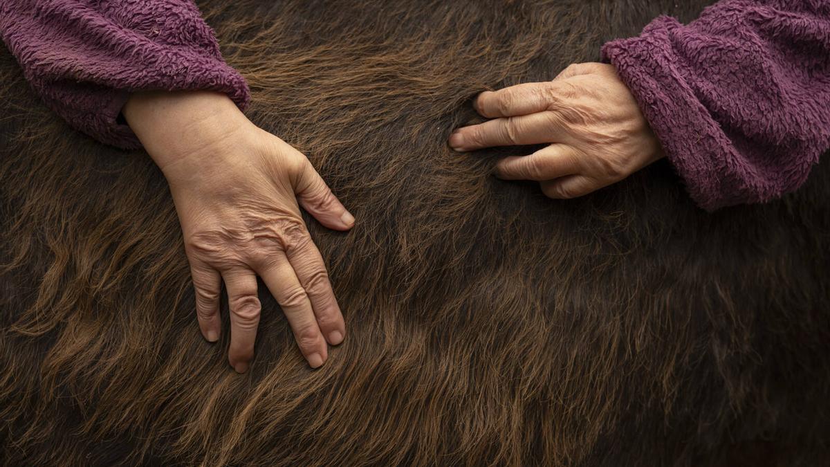 Desarrollar lo cognitivo al tacto con un burro