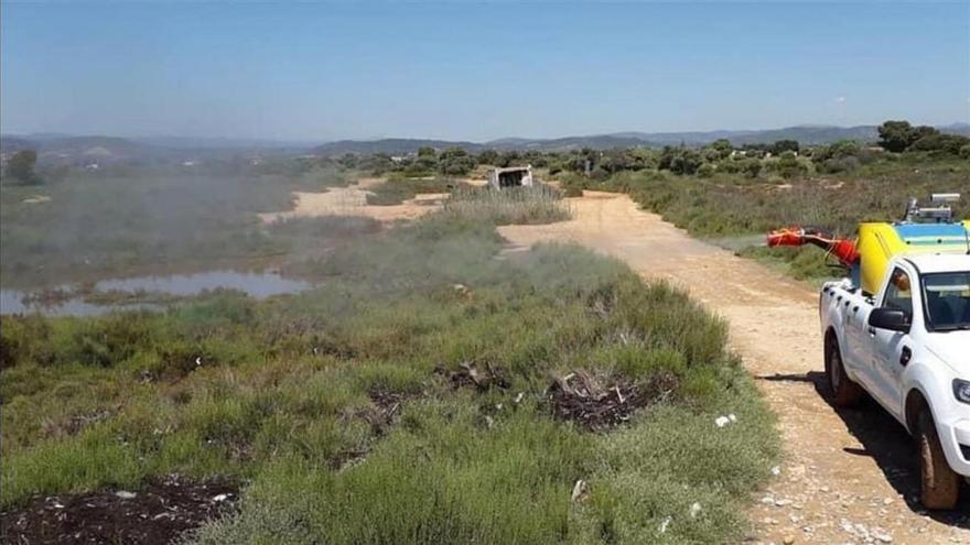 La plaga de mosquitos obliga a reforzar tratamientos por la noche en Castellón