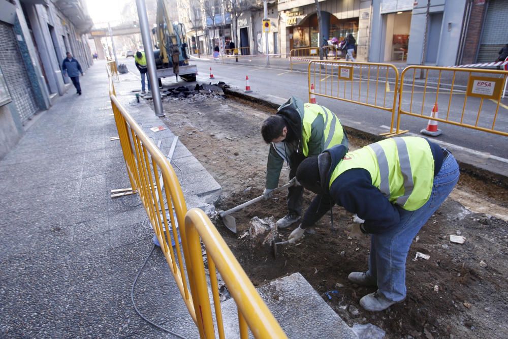 Vuit arbres talats pel carril bici de Santa Eugènia