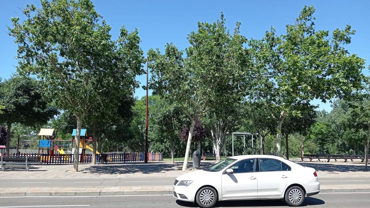 El viento mueve las copas de los árboles, este miércoles, en Echegaray y Caballero