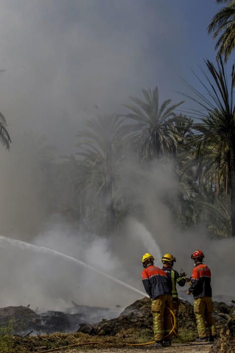 Fuego en el Palmeral de Elche