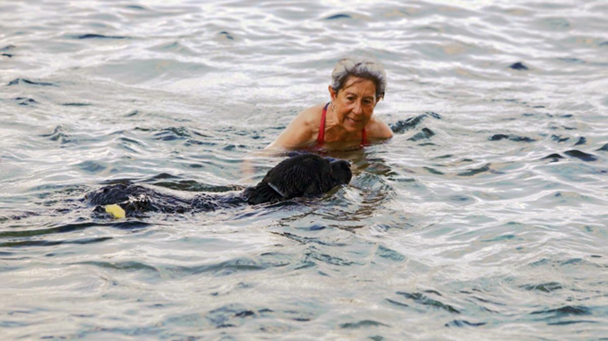 El Bongo, el gos malalt de Tossa, torna a banyar-se al mar