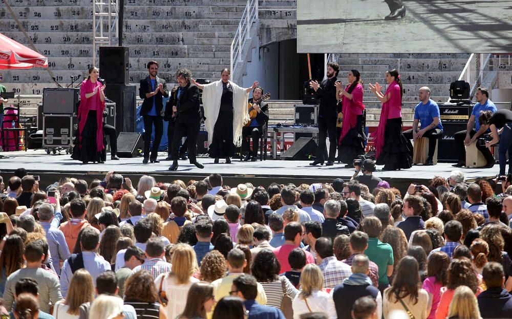 La plaza de toros de Málaga volvió a acoger este encuentro para luchar contra el Síndrome de Rett