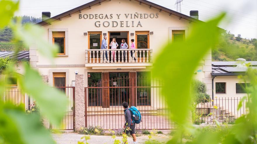 Des de Bodegues Godelia participen en l&#039;apadrinament dels ruscs d&#039;abelles de la marca Mel Camino de Santiago