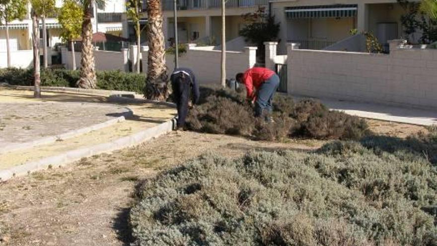 El consistorio invierte 18.000 euros en contratar a 6 vecinos sin empleo