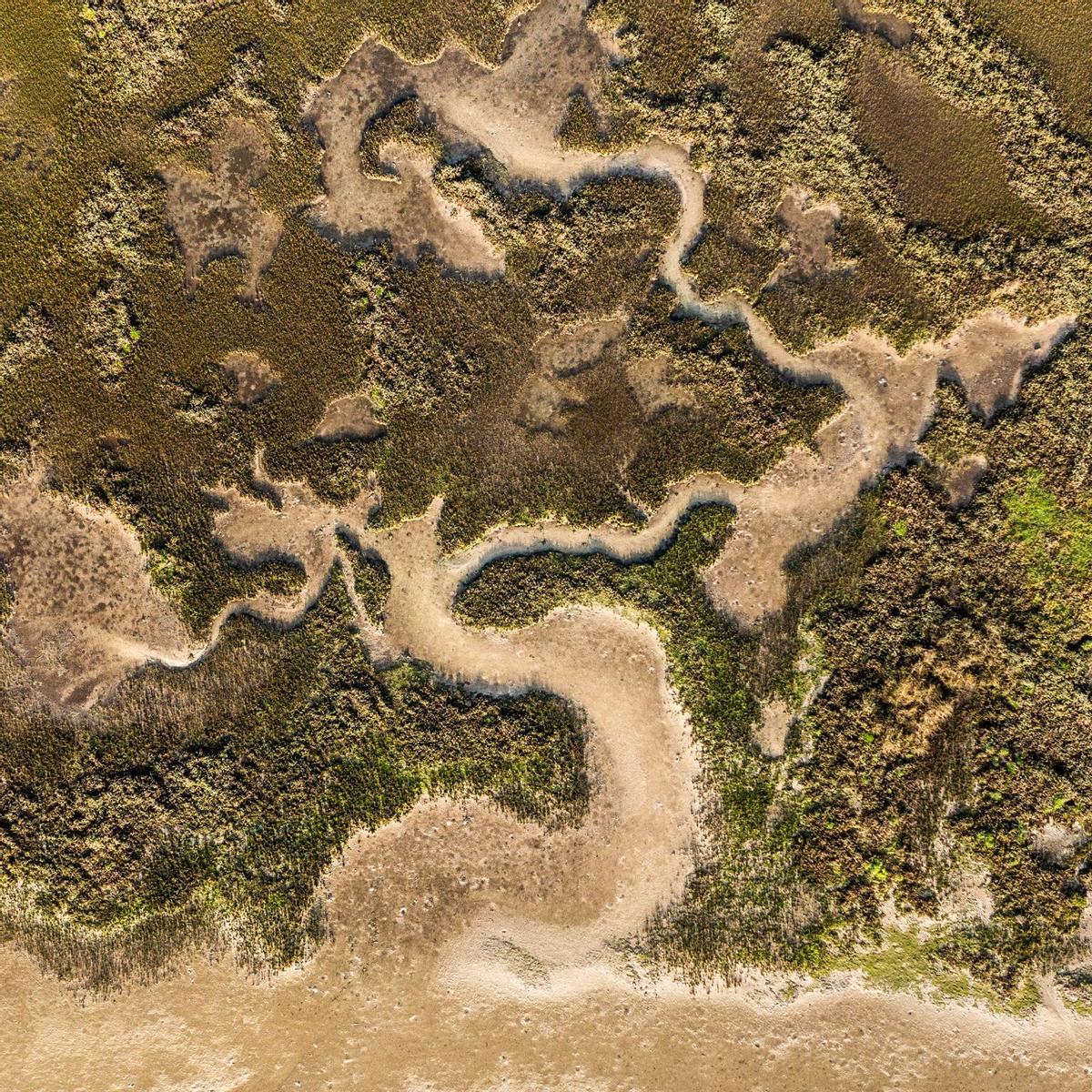 Imagen captada en el municipio de Carnota.