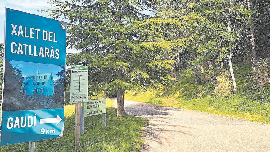 El verd intens en els camins que porten al Xalet de Gaudí. Foto: Axel Lapuerta