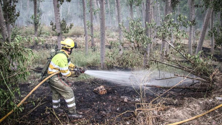 Incendio forestal en Muro