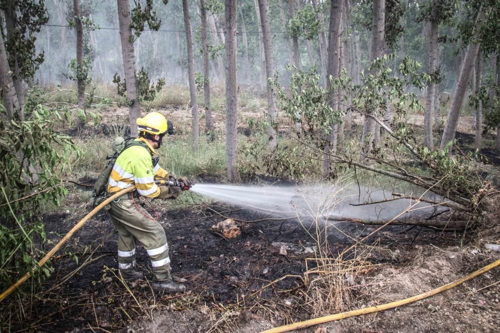 Incendio forestal en Muro