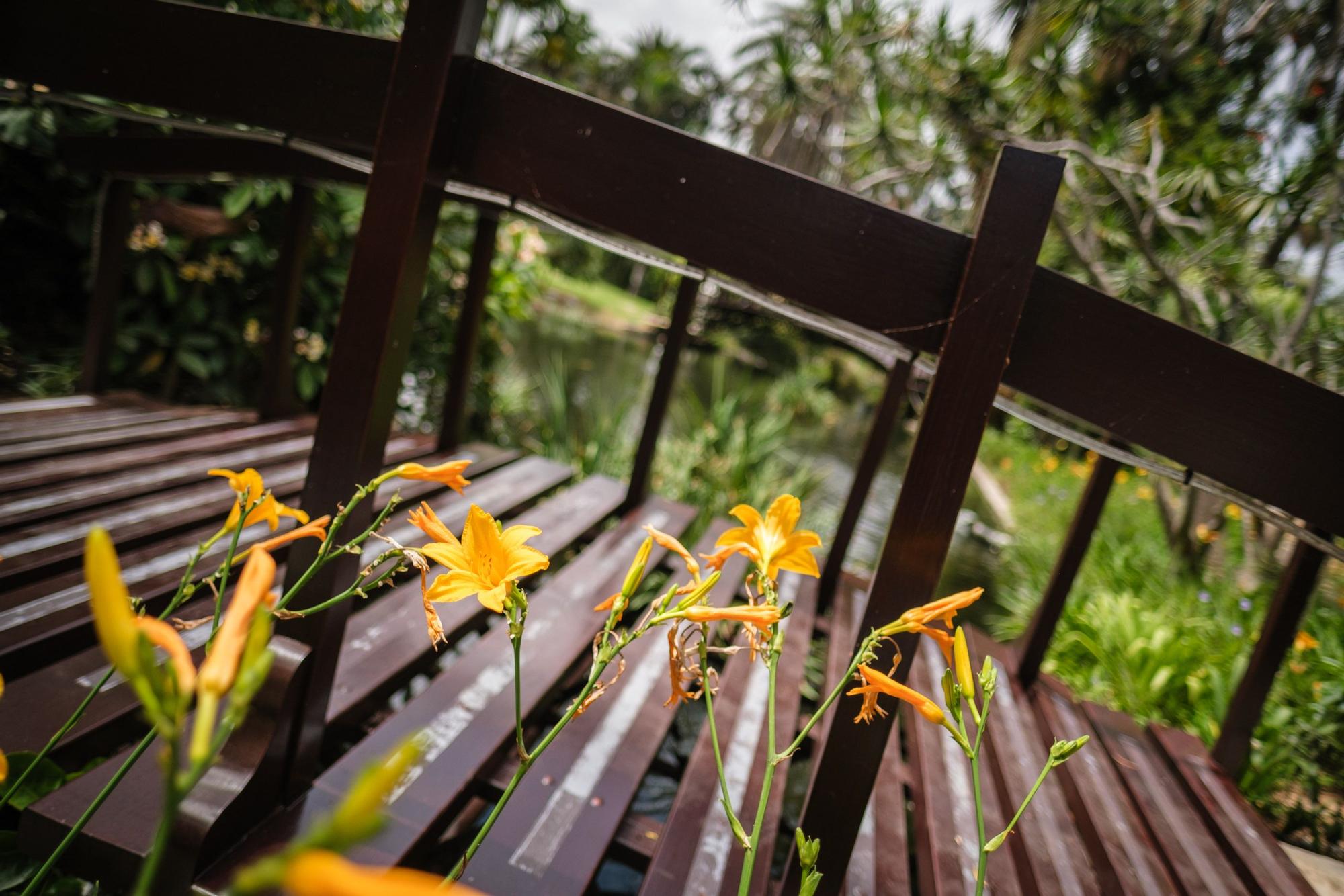 El 'nuevo' Hotel Botánico & The Oriental Spa Garden