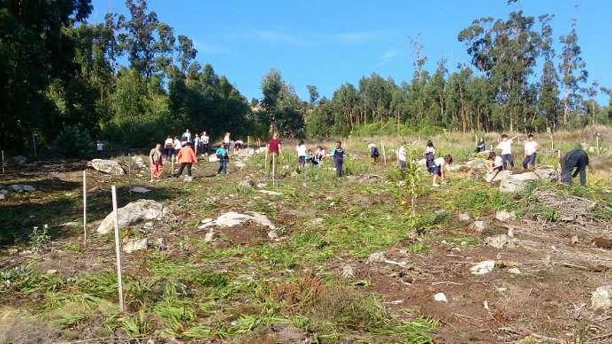 Una de las actividades de cuidado del monte organizadas por los comuneros de Camposancos. // D.B.M.