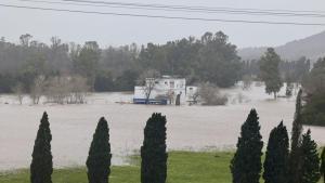 "El duelo por lo perdido no sigue el ritmo de la emergencia"